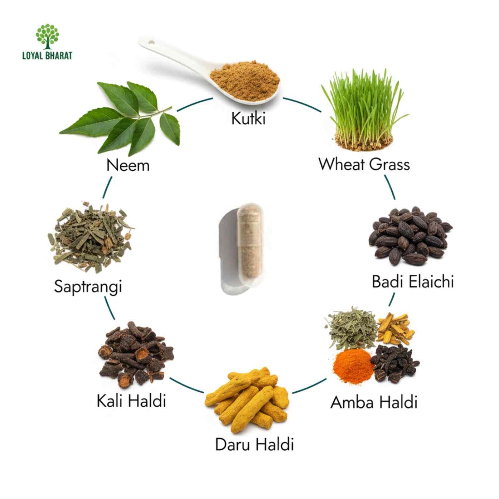 Loyal Bharat Glucure Active Tablet - Maintain Healthy Blood Sugar Level (30 Tablets) (Pack of 1)